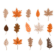 Autumn fallen leaves set. Maple, oak, and birch leaves isolated on a white background. Vector illustration in a flat style. Elements for autumn design