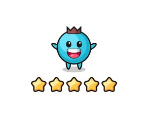 the illustration of customer best rating, blueberry cute character with 5 stars