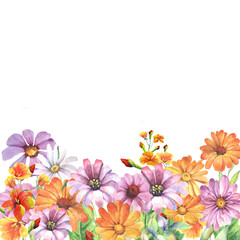 Obraz na płótnie Canvas meadow flowers