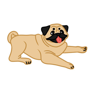 Vector illustration of adorable pug in lying position. The image can be used as design element in posters packages postcards on websites