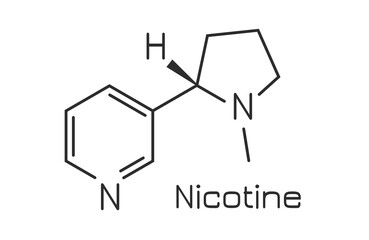 Nicotine molecule, vector chemical formula