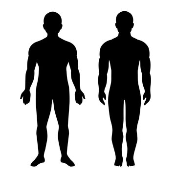 Human body vector silhouette, full height man figure