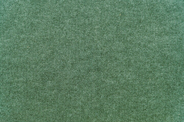 Fototapeta premium Green synthetic wool carpet for background and design