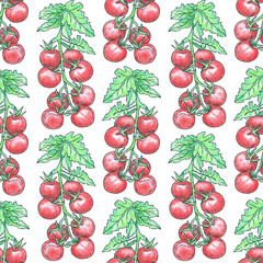 Seamless food pattern with painted tomatoes. Background for textiles, packing, fabric, invitations, cards. Bright green background. Vegetables, Italian food restaurant.