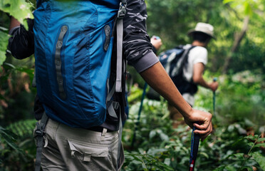 Hikers trekking in a forest together - obrazy, fototapety, plakaty