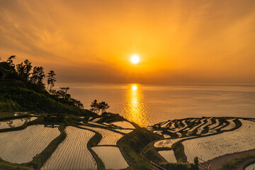 石川県　白米千枚田に沈む夕日