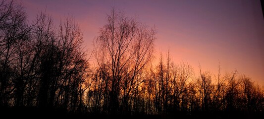 sunset in the field