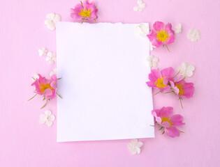 Blank paper card mockup on pink pastel background and delicate pink rose flowers. Top view 