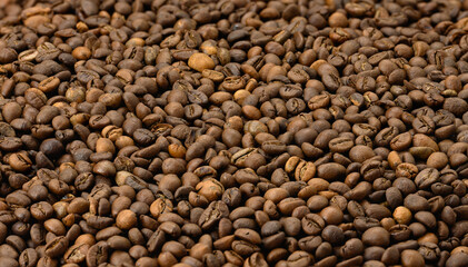 brown roasted arabica and robusta coffee beans, full frame