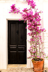 Fototapeta na wymiar Whitewashed facade with old wooden door and bougainvillea in Altea
