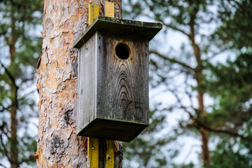 Wooden bird cage, bird house in the forest