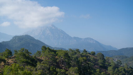Turkey mountains. Rocky mountain on the horizon behind a pine hill in southern Antalya. Incredible nature of the Lycian