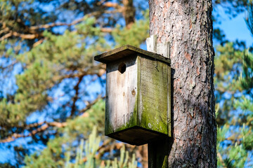 Wooden bird cage, bird house in the forest