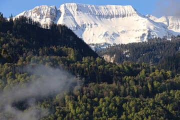 Der Frühling hat es schwer...; Mai 2021 im Berner Oberland, Blick von Norden auf das schneebedeckte Gassenhorn mit Mittagschrinne (Mittagswand)