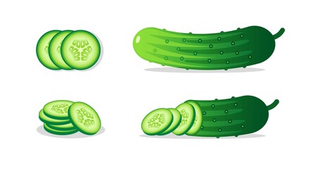 Cucumber vector illustration set.