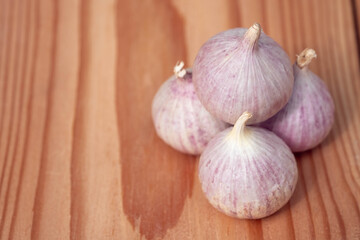 Garlic, Elephant Garlic on wooden background.