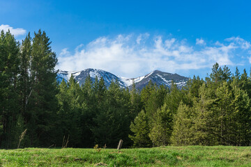 landscape with trees and clouds