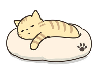 ペットベッドで寝ている猫　トラ猫