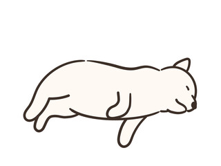 寝ている白い犬