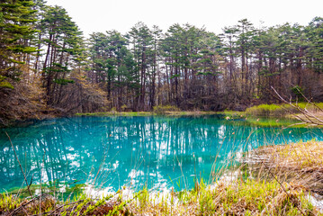 青沼, 五色沼, 福島