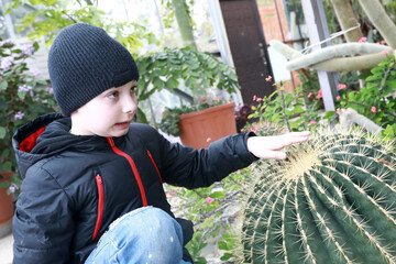 Child touching cactus in greenhouse