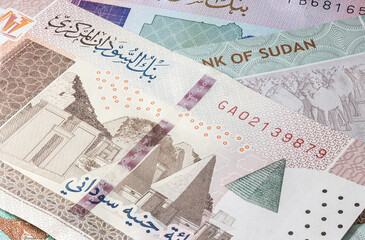 Close up to hundred pounds of the Republic of Sudan. Paper banknotes of the African sudanese country. Detailed capture of the front art design. Detailed money background wallpaper. Currency bank note