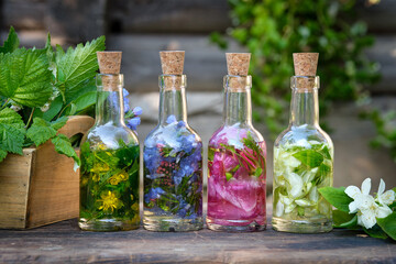 Bottles of essential oil or infusion of medicinal herbs, healing plants on wooden table. Alternative medicine.