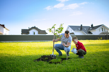 father looking how son planting tree with shovel at front of house, nice sunny day, father and son...