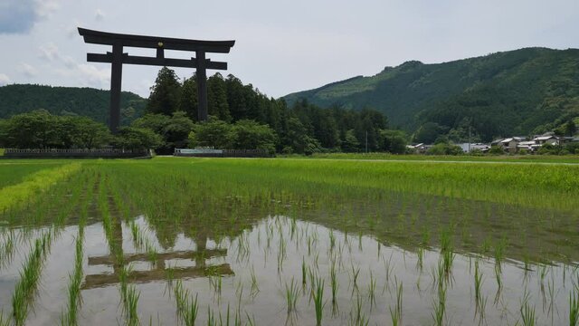 熊野本宮旧社地「大斎原」（おおゆのはら）の大鳥居（和歌山県田辺市本宮町）