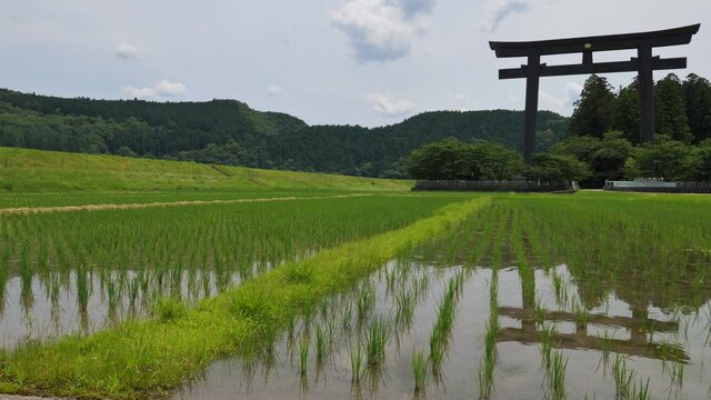 熊野本宮旧社地「大斎原」（おおゆのはら）の大鳥居（和歌山県田辺市本宮町）
