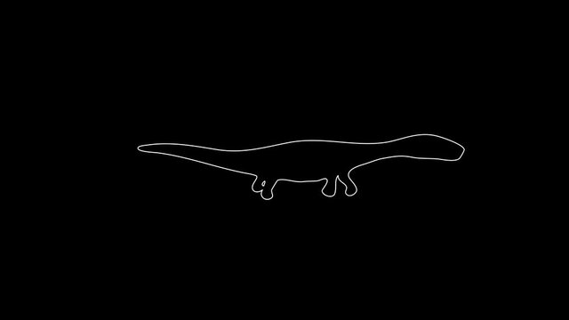 white linear silhouette of a dinosaur in the water. the picture appears and disappears on a black background.