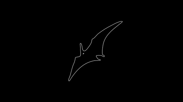 white linear silhouette of a flying dinosaur. the picture appears and disappears on a black background.