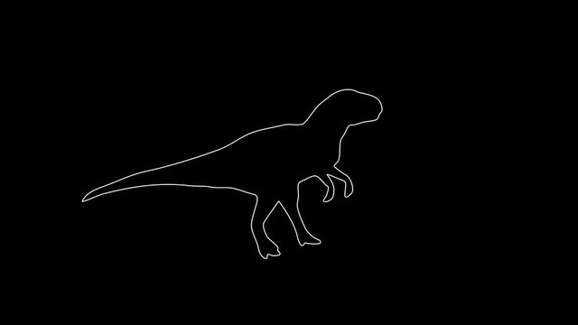 white linear silhouette of a tyrannosaurus. the picture appears and disappears on a black background.