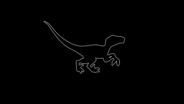white linear silhouette of a velociraptor. the picture appears and disappears on a black background.