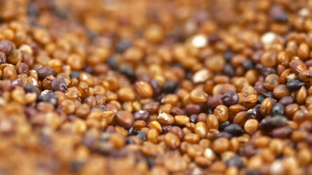 Canihua Seeds Rotating Background. Organic Superfood Chenopodium Pallidicaule as Goosefoot Quinoa. South American Grain. Healthy and Gluten Free Food Concept Background. 