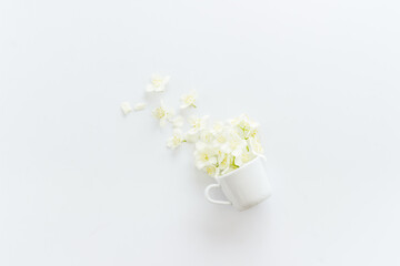 Jasmine fall into a cup. Herbal tea concept. Floral background