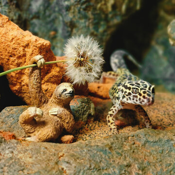 Sloth and Gecko dreaming Away
