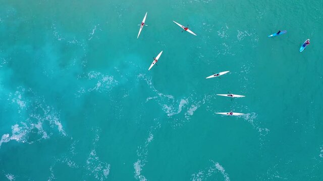 Aerial drone bird's eye view video of sport Kayak and canoe on summer day at the ocean sea. Top down shot on people swimming with sharks Group of people on sea kayaks swimming in open sea in beautiful