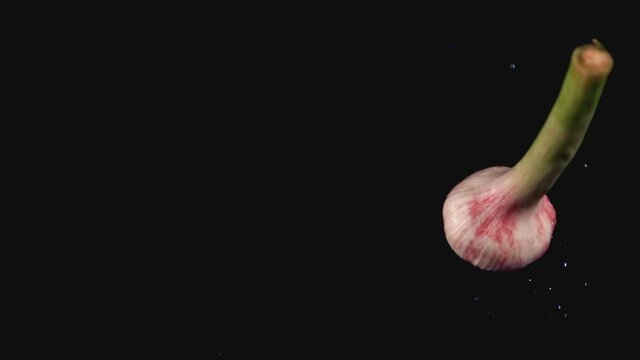 Super slow motion garlic falls on a black background. Filmed on a high-speed camera at 1000 fps. High quality FullHD footage