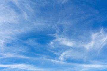 Fototapeta premium Blue sky with cirrus clouds