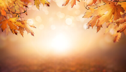 An autumn nature, fall background of blurred foliage and tree leaves at sunset in an autumn landscape that could be used for Thanksgiving.