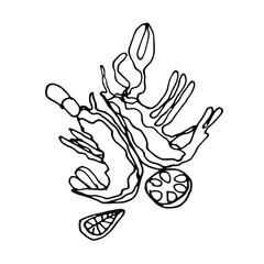 Doodle hand drawn lobster.Hand drawn lineart element.