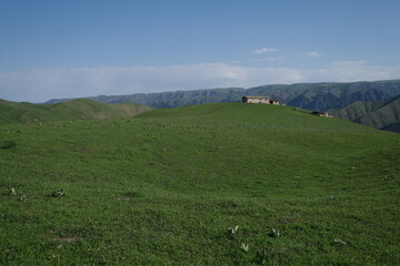 Fototapeta na wymiar distant cabin at green prairie slope. Mountain range and blue skyline behind