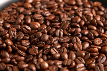 Roasted Coffee Beans