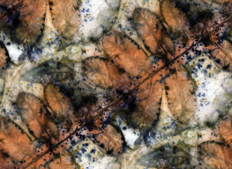 Seamless Botanical print