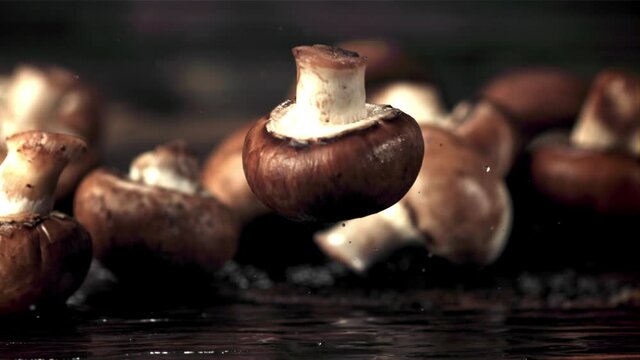 Super slow motion one fresh mushroom falls on the table with water.Filmed at 1000 fps. On a black background. 
