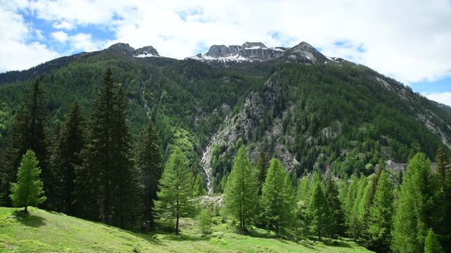 Lavizzara