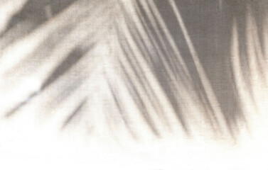 Shadow of palm leaf shadow on a grunge texture background, overlay effect for photo, mock up,...