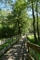 Ortelsbruch