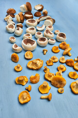 Variety of edible forest mushrooms on wooden board